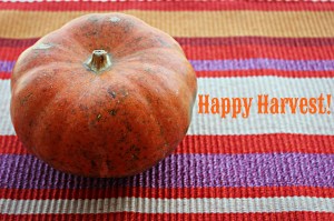 happy harvest