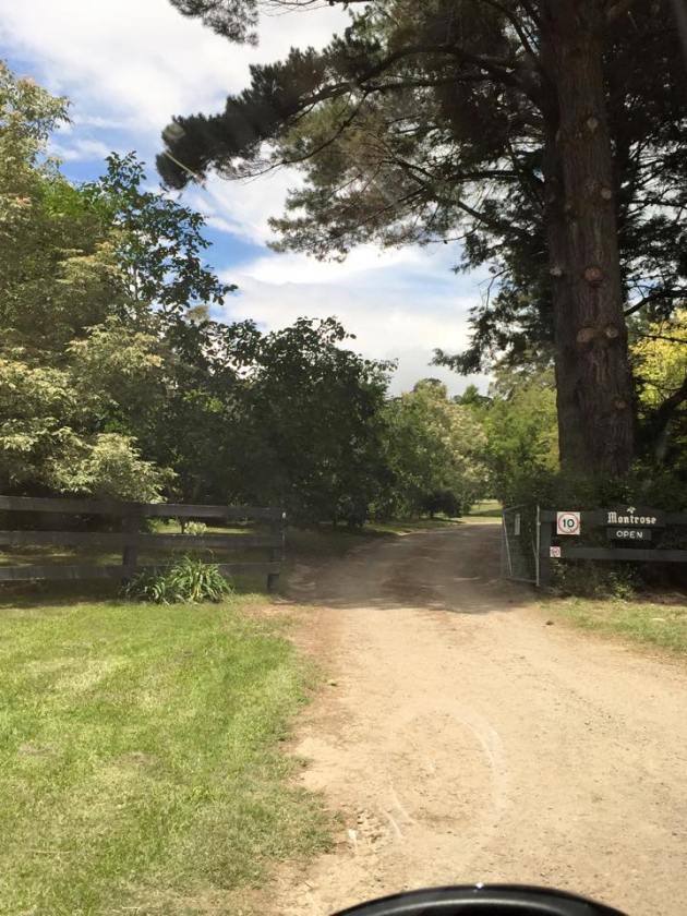 10952882_10155092353600462_1518215152075974886_n